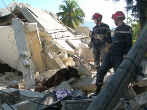 HAITI 2010 JFH Recherche par chien