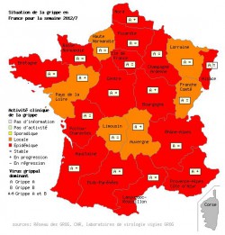 Grippe : 2 millions de français touchés, l'épidémie continue