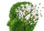 Alzheimer et Parkinson : bientôt un dépistage cutané?