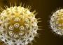 VIH : premier cas mondial de rémission d’une jeune femme née avec le virus