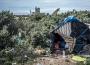 « Jungle » à Calais : des ONG attaquent le gouvernement et réclament des mesures d’urgence