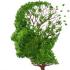 Alzheimer et Parkinson : bientôt un dépistage cutané?