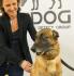 Kdog : des chiens pour dépister le cancer du sein