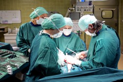 Transplantation : vers des organes "autoconstruits" ?