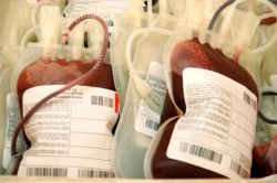 Don du sang : les infirmières bientôt chargées de l’entretien préalable ?