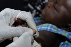Paludisme: un vaccin expérimental très prometteur
