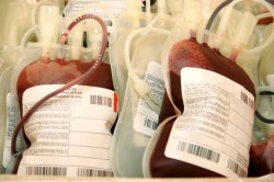 Ethique : pas de consensus pour lever l'exclusion des homosexuels du don du sang