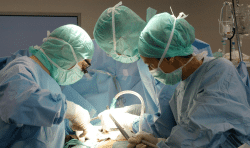 La greffe d'Uterus expérimentée en France