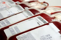 Homosexuels et don du sang : des conditions discriminantes, selon les associations