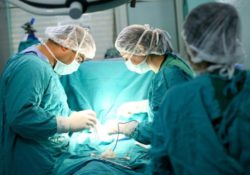 5891 greffes d'organes ont été effectuées en France en 2016