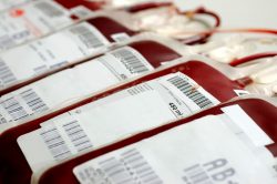 Les infirmiers et infirmières pourront effectuer les entretiens préalables aux dons de sang