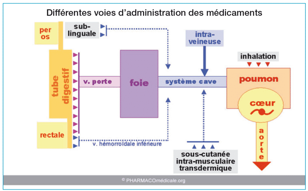 Différentes voies d’administration des médicaments