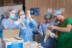 Au village bloc, les infirmiers découvrent les techniques usuelles au bloc opératoire