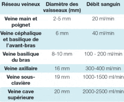 Réseau veineux