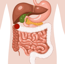 colostomie