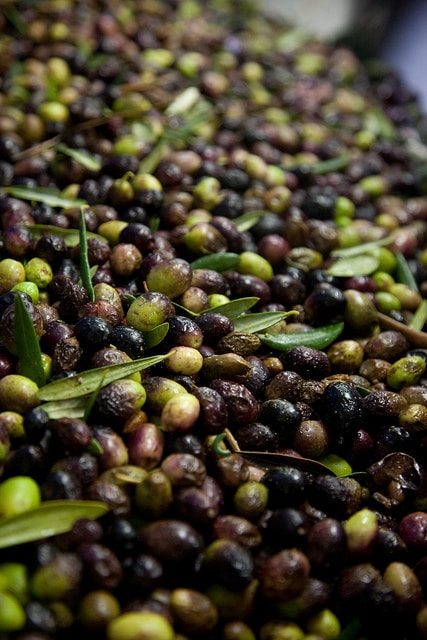 L'huile d'olive contre les AVC ? huile d'olive contre les AVC