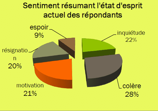 Enquête sur l'état d'esprit des infirmiers par le SNPI syndicat national des professionnels infirmiers Enquête syndicat infirmier