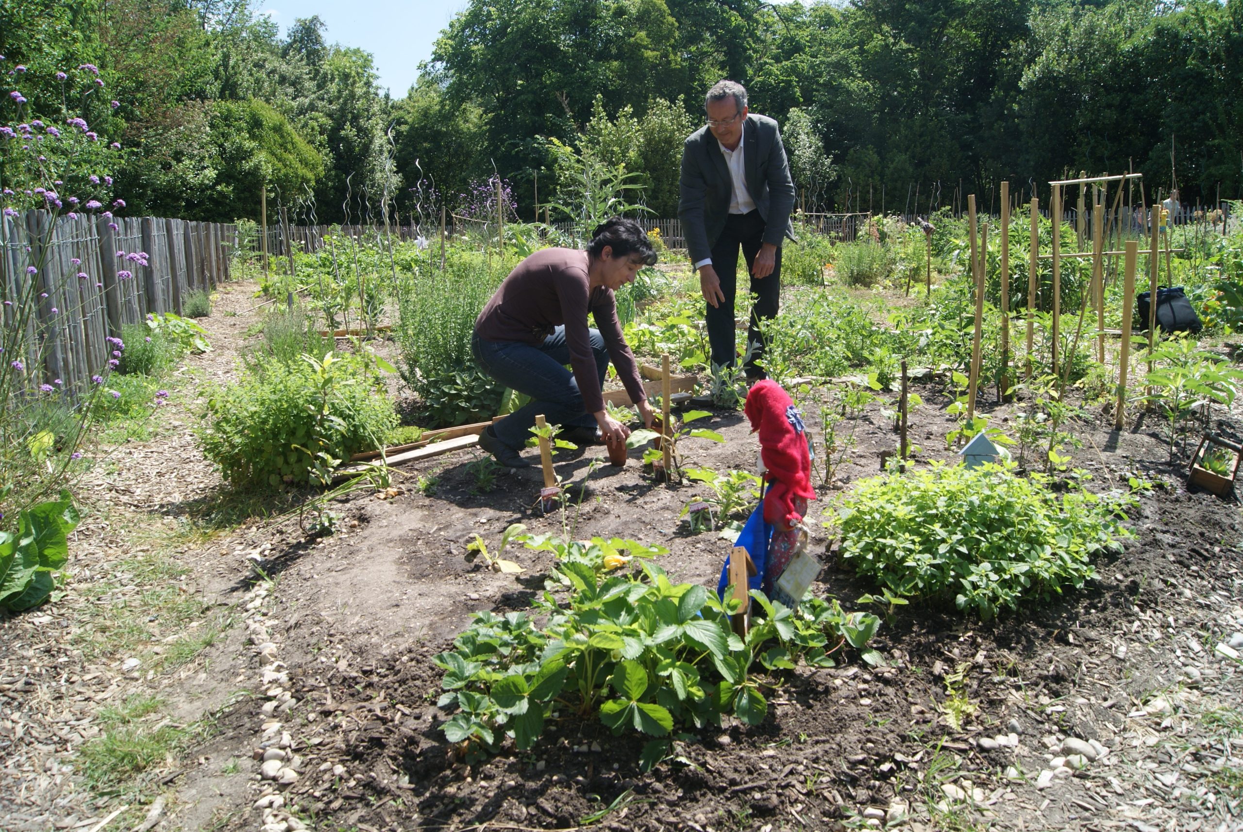 ©Ariane Puccini Dolorès Jimenez, l'infirmière et Gérald Carmona, président de l'association de quartier à l'origine du jardin partagé. 