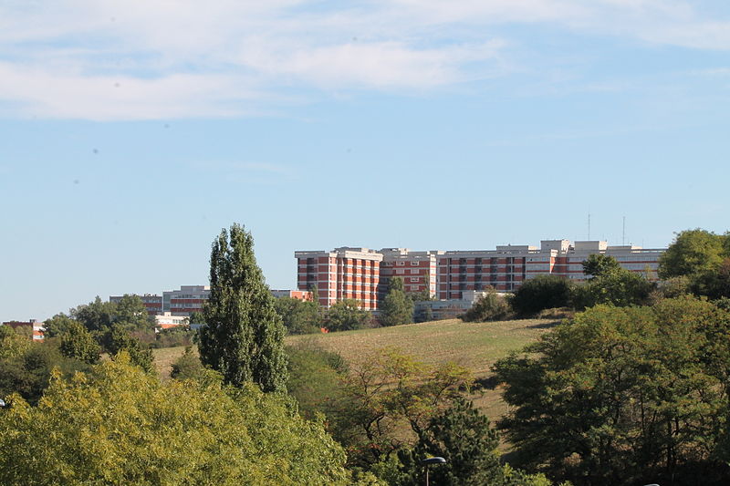 ©Wikimedia Commons