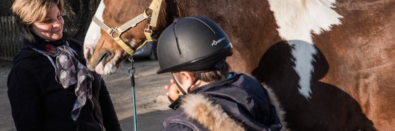 L’équithérapie : soigner avec les chevaux