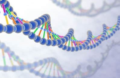 Une anomalie génétique à l’origine de la déficience intellectuelle ? Une anomalie génétique à l’origine de la déficience intellectuelle ?