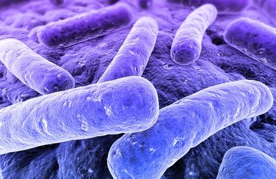 Résistance aux antibiotiques : l’OMS sonne l’alarme