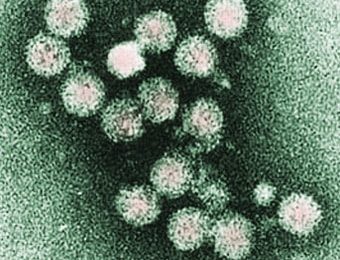 L’hépatite C, un problème de santé publique loin d’être réglé en France