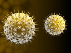 VIH : premier cas mondial de rémission d’une jeune femme née avec le virus
