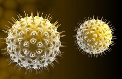 USA : le nombre de séropositifs augmente malgré la baisse des cas de SIDA
