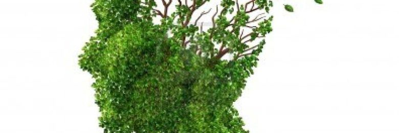 Le nombre de personnes atteintes de démence devrait tripler au cours des 30 prochaines années