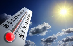 Canicule : surmortalité “limitée”