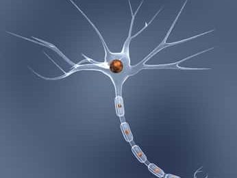 Education thérapeutique, le sur-mesure des infirmières du réseau Sindefi-Sep