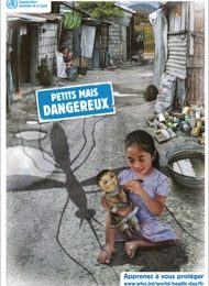 Petits mais dangereux, ces vecteurs de maladies