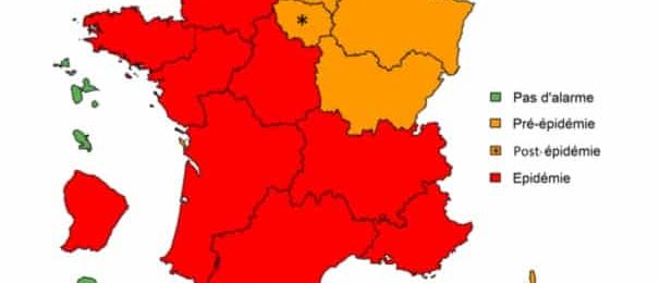 Grippe : huit régions métropolitaines en phase épidémique