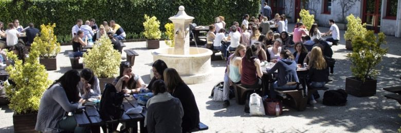 Devenez acteur de la santé de demain avec Holistéa