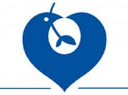 155 millions d’euros d’économies demandés aux hôpitaux parisiens, c’est “inatteignable”