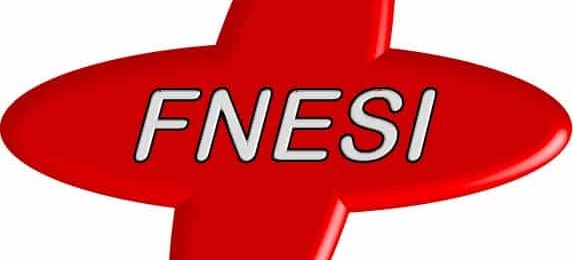 Passage de témoin à la présidence de la FNESI Passage de témoin à la présidence de la FNESI