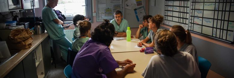 En réanimation médicale, le travail en équipe fait la différence