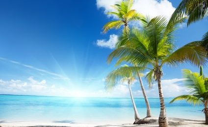 Club Med : c’est pas des vacances !