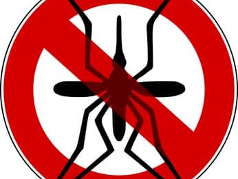 Des formations en médecine des voyages et tropicale ouvertes aux infirmières