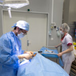 Prélèvement de cornées : immersion au cœur de la coordination hospitalière du CHIV