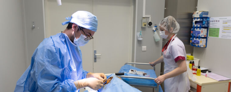 Prélèvement de cornées : immersion au cœur de la coordination hospitalière du CHIV Prélèvement de cornées : immersion au cœur de la coordination hospitalière du CHIV