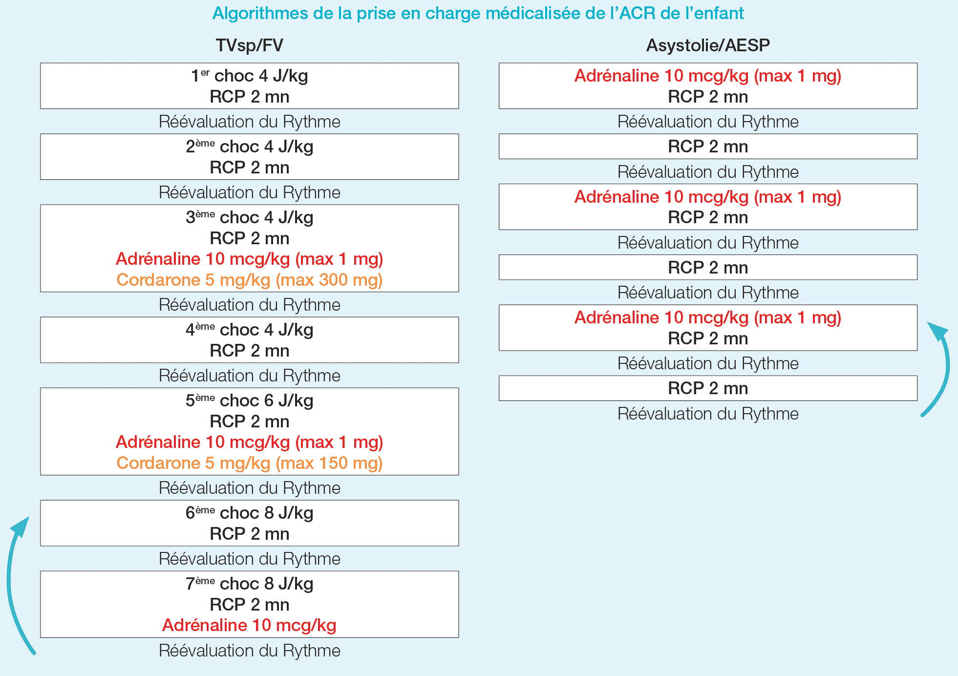 Algorithmes de la prise en charge médicalisée de l’ACR de l’enfant